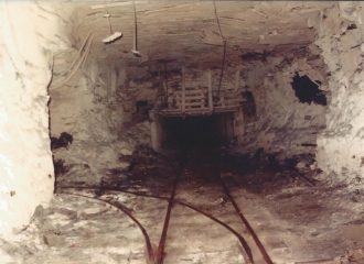 coal-miners-L-15